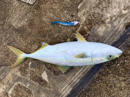 爆風の中耐えていい事ありました